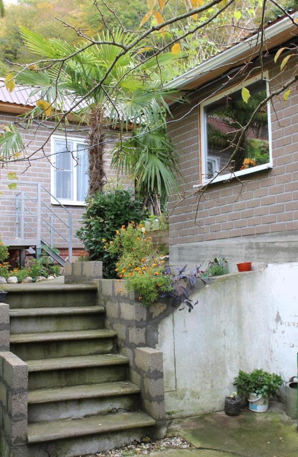 Tsikhierva Hotel Gagra Bagian luar foto
